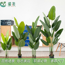 仿真大型绿植人造旅人蕉树 室内落地盆栽摆件门店绿化工程仿真树