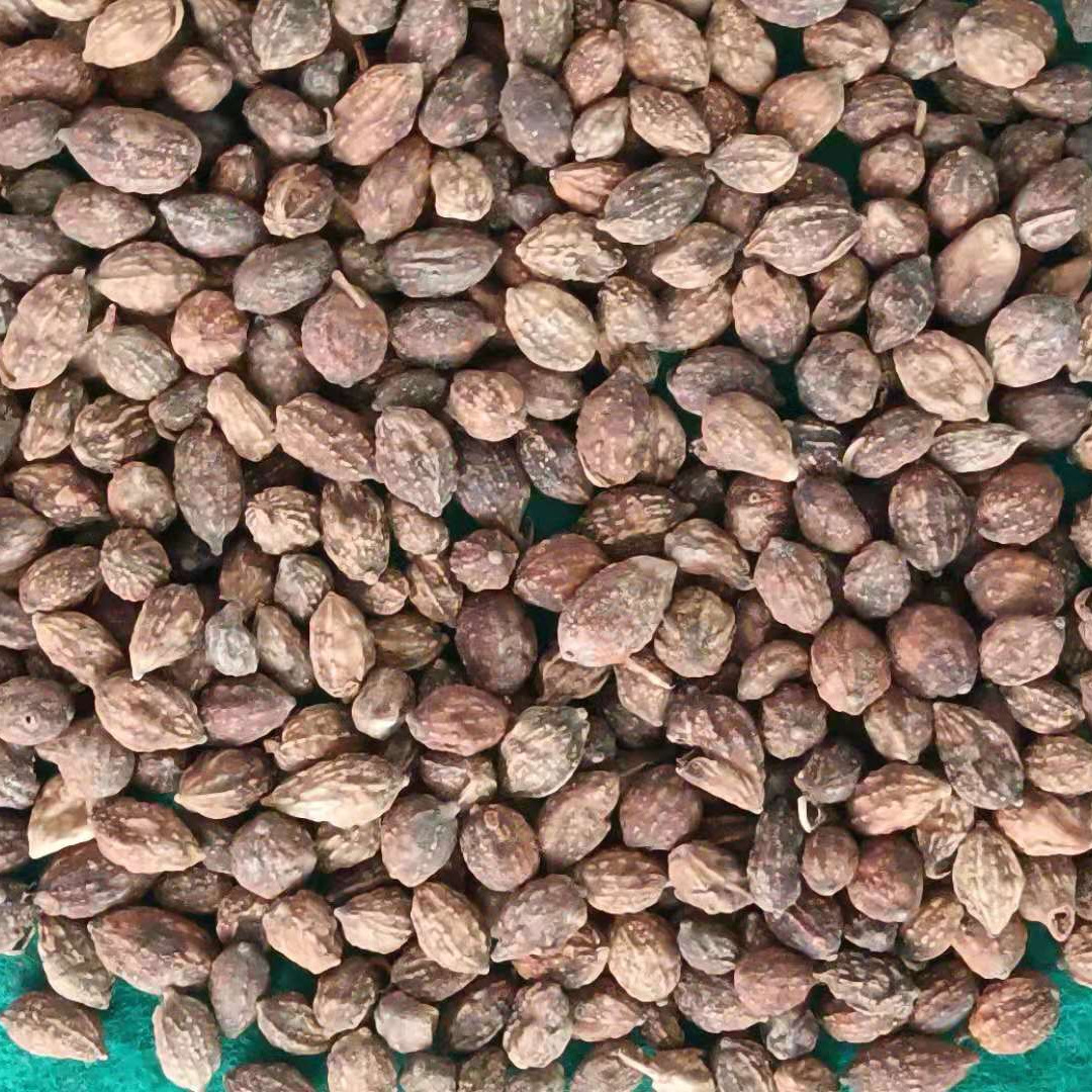 新货海南琼中果仁500g1斤南药