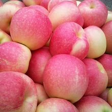 陕西早熟红富士小苹果新鲜吃的应季脆甜嘎啦水果吃的萍果35斤