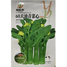 60天油菜心种子一年四季蔬菜种子大全菜花菜心种子67月份耐高温