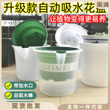 绿萝花盆懒人自动吸水家用绿箩透明套盆加厚耐用塑料树脂加仑盆