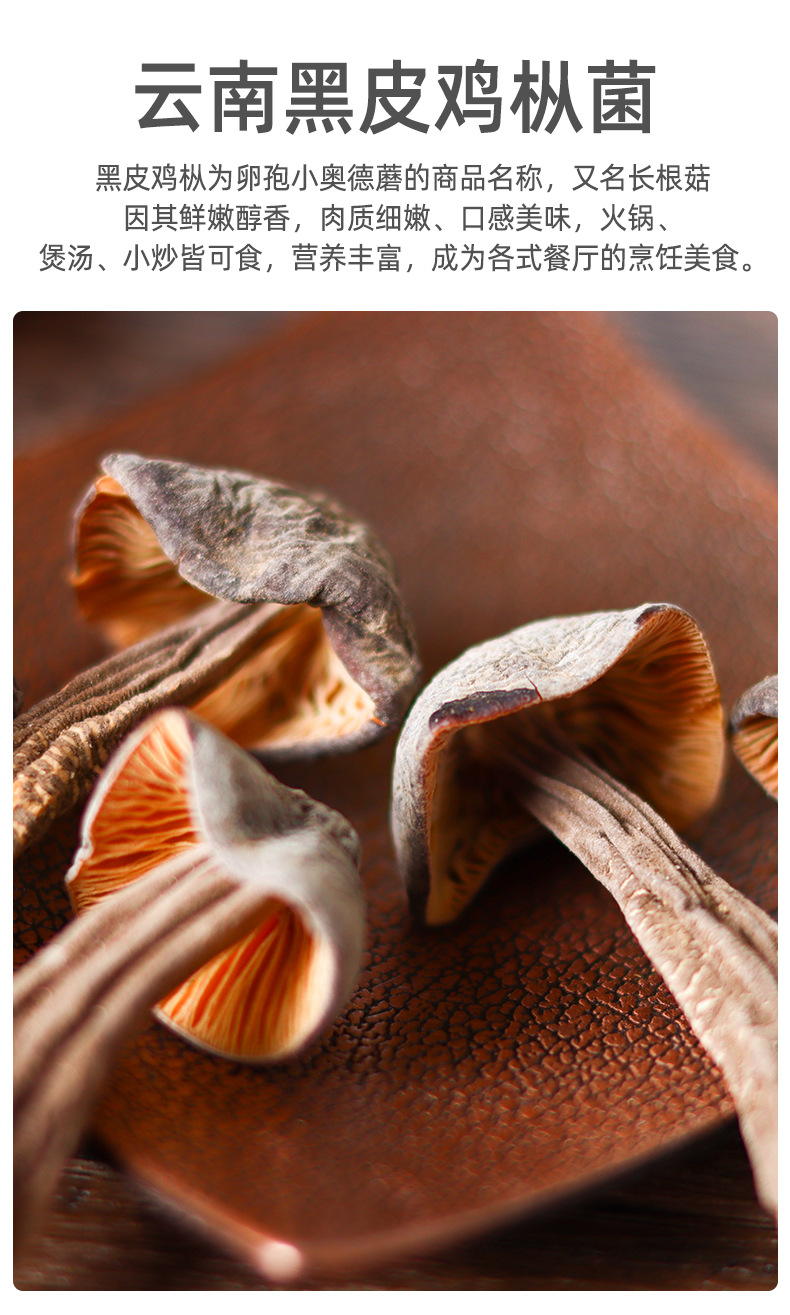 云南黑皮鸡枞菌鸡棕菇荔枝非野生菌山珍蘑菇干鸡枞菌干货散装批发