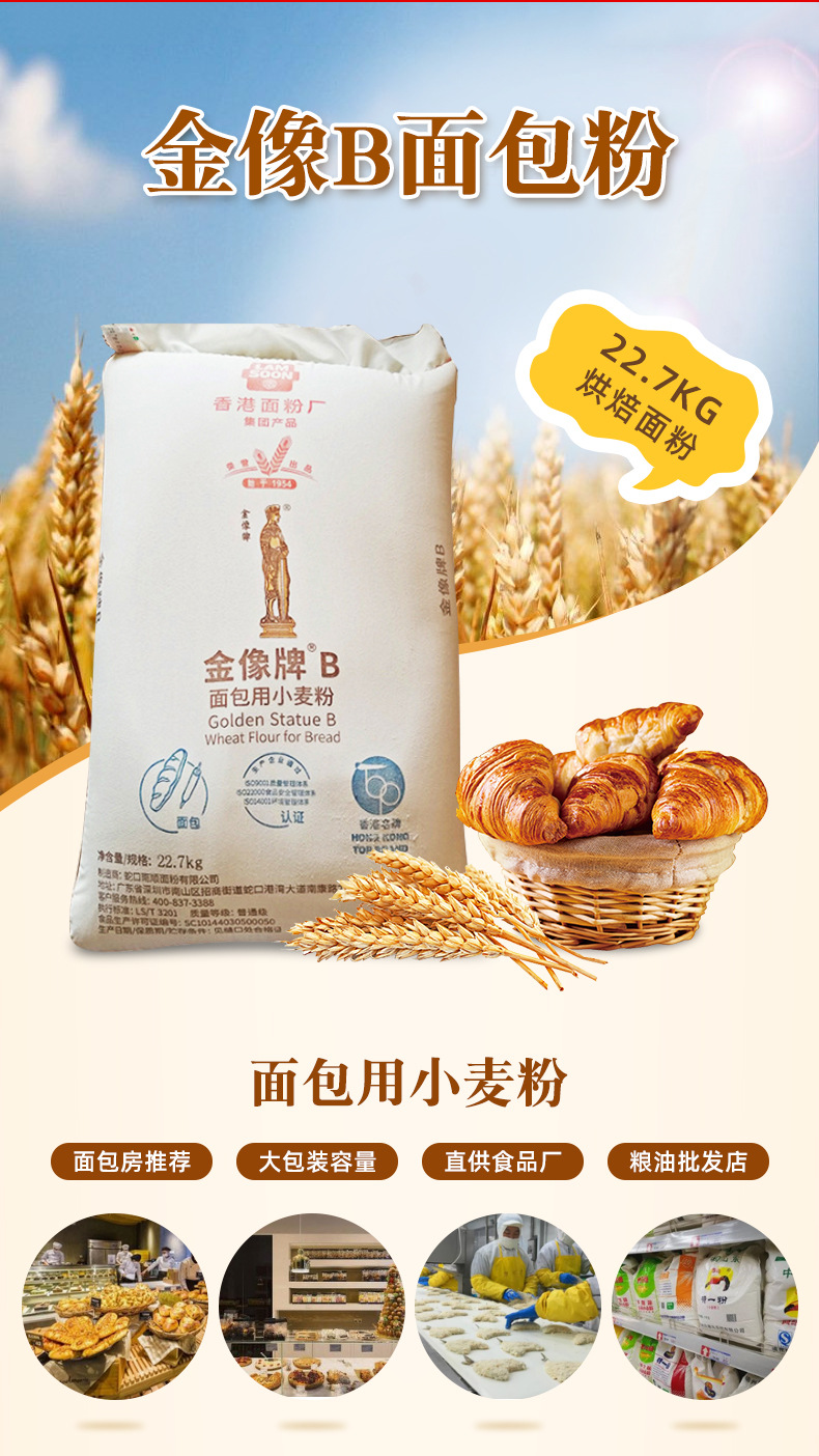 金像b面包粉金像面粉小麦粉22.7kg糕点烘焙制作原料蛋糕房面粉