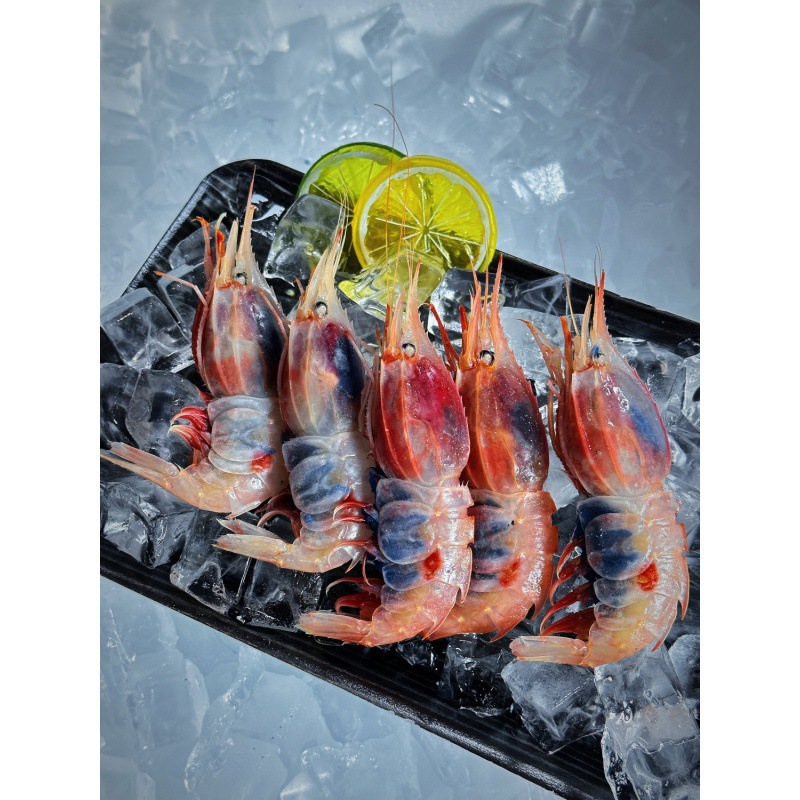 东海牡丹虾刺身自有渔船海捕料理即食海鲜大虾冷冻新鲜活一件批发