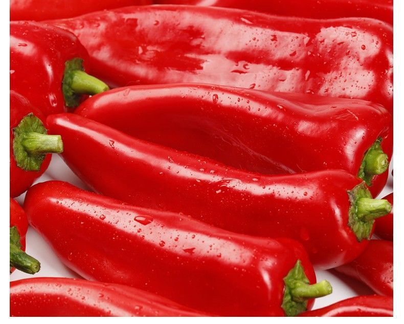 5斤顺丰包邮新鲜大红辣椒红尖泡椒糯米椒灯笼椒剁椒辣椒椒酱蔬菜