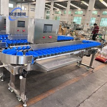 粑粑柑分选机 火龙果循环分级机 全自动流水线分选设备