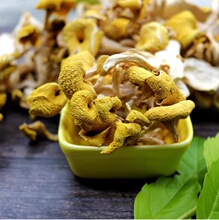 鸡油菌云南特产人工菌干蘑菇鸡油菌黄丝菌食用菌黄金菇榆黄菇干货