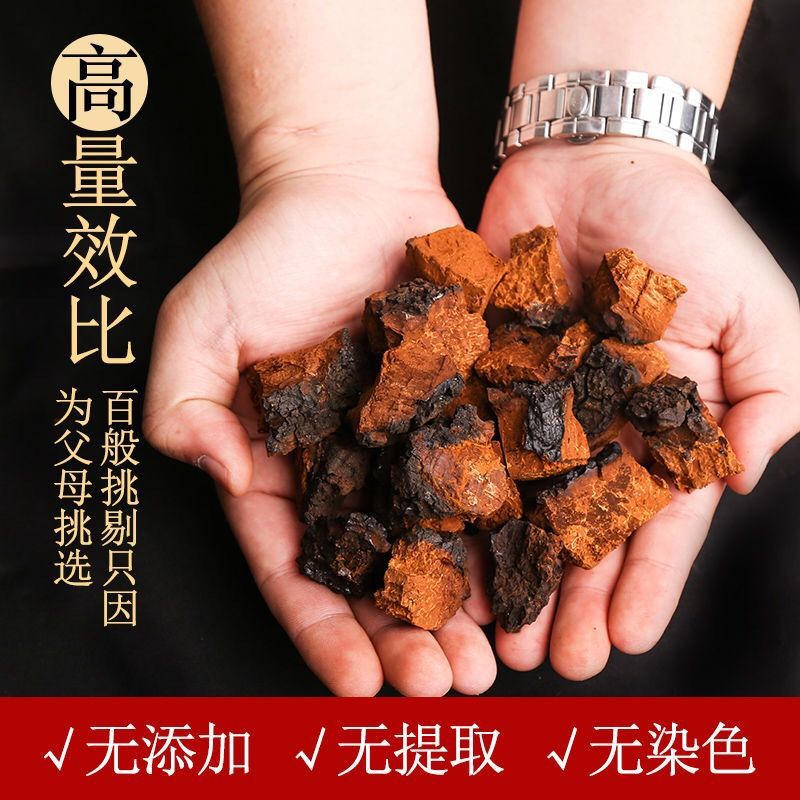 芦阳芝大粒 西藏野生芦阳芝 官网芦阳芝 (买2送1) 矷山芦阳芝