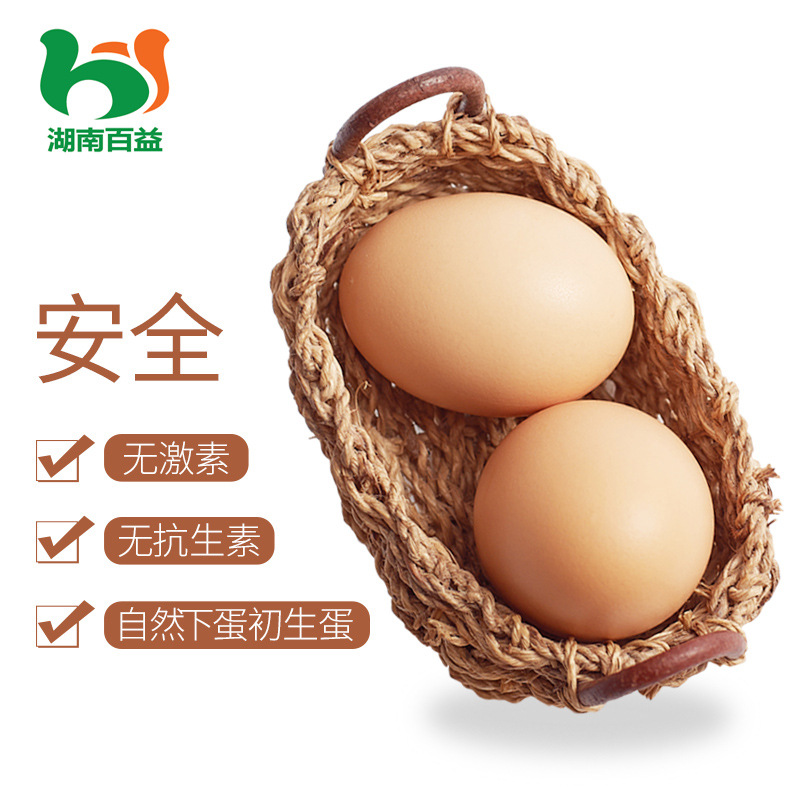 新杨黑农家散养粉壳土鸡蛋虫草鸡蛋柴鸡蛋整件批发10-11个一斤