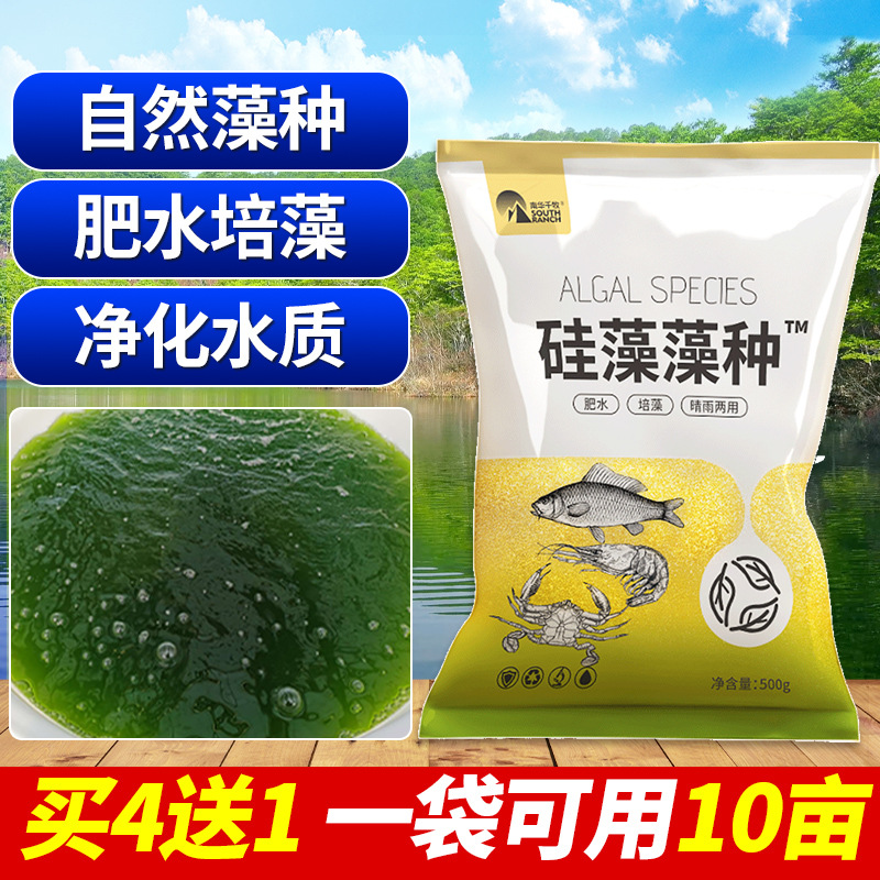 硅藻藻种水产养殖小球藻绿藻硅藻种鱼塘虾蟹塘肥水培藻复合藻种