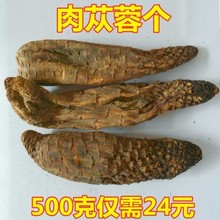 肉苁蓉整根个 包邮包退 新疆大芸个肉丛蓉 个泡酒料 肉苁蓉片