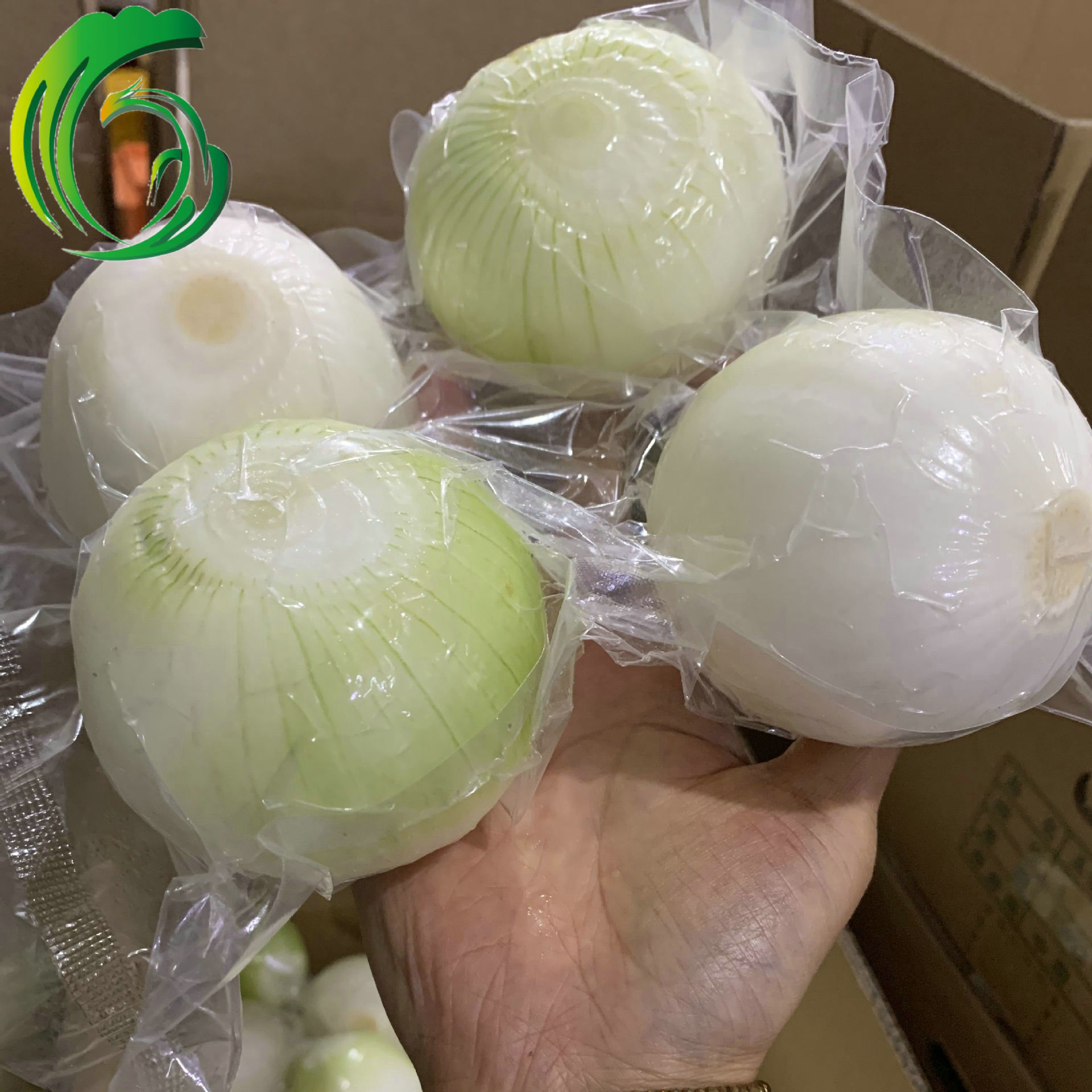 出口日本真空洋葱 4p 分离 工厂直供 河南产地 备案种植基地产