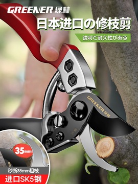 日本原装进口修剪果树修枝剪树枝专用剪刀园艺剪刀sk5枝花剪出口