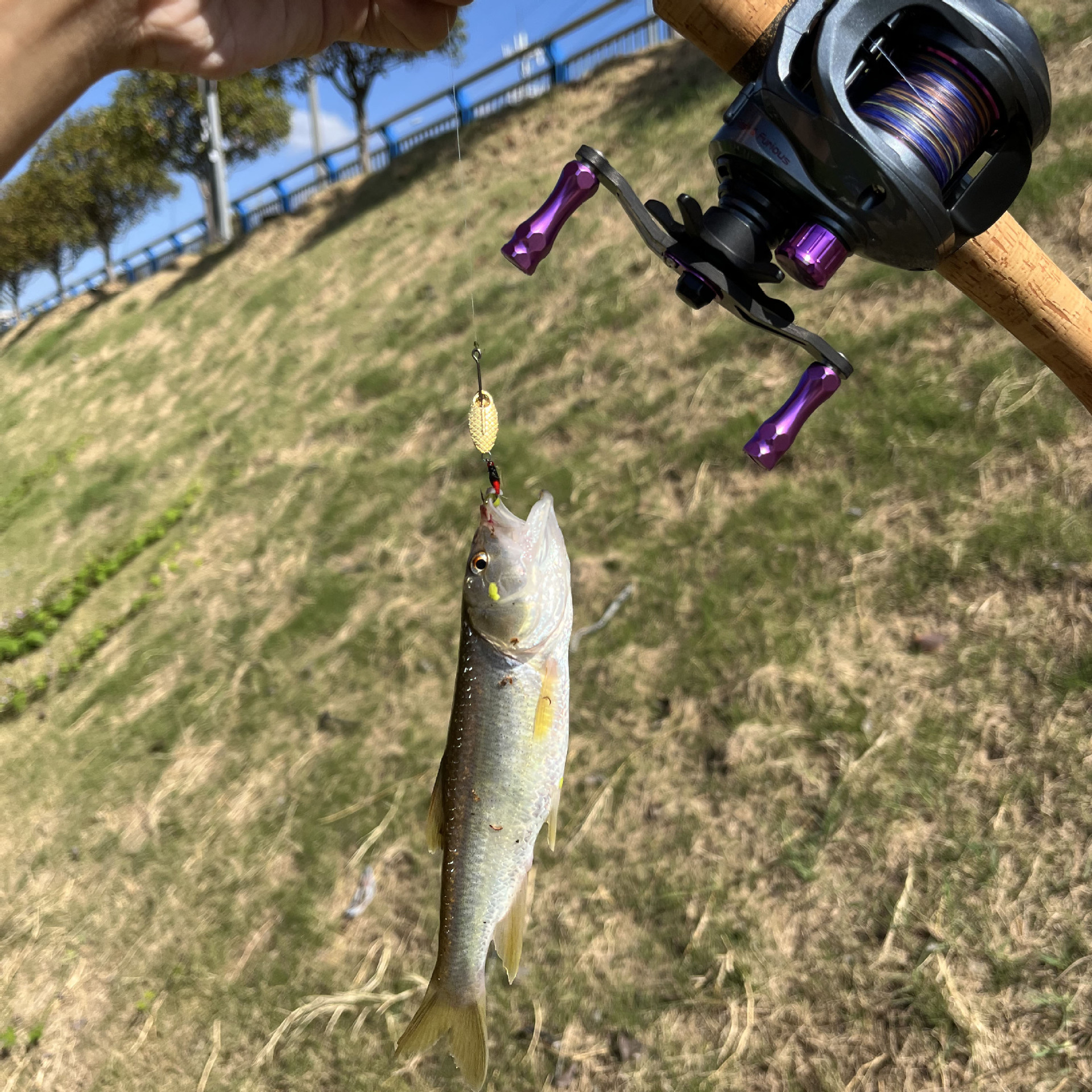 绑好瓜子亮片线组飞蝇钩5付套装 钓马口白条翘嘴假鱼饵亮片现货