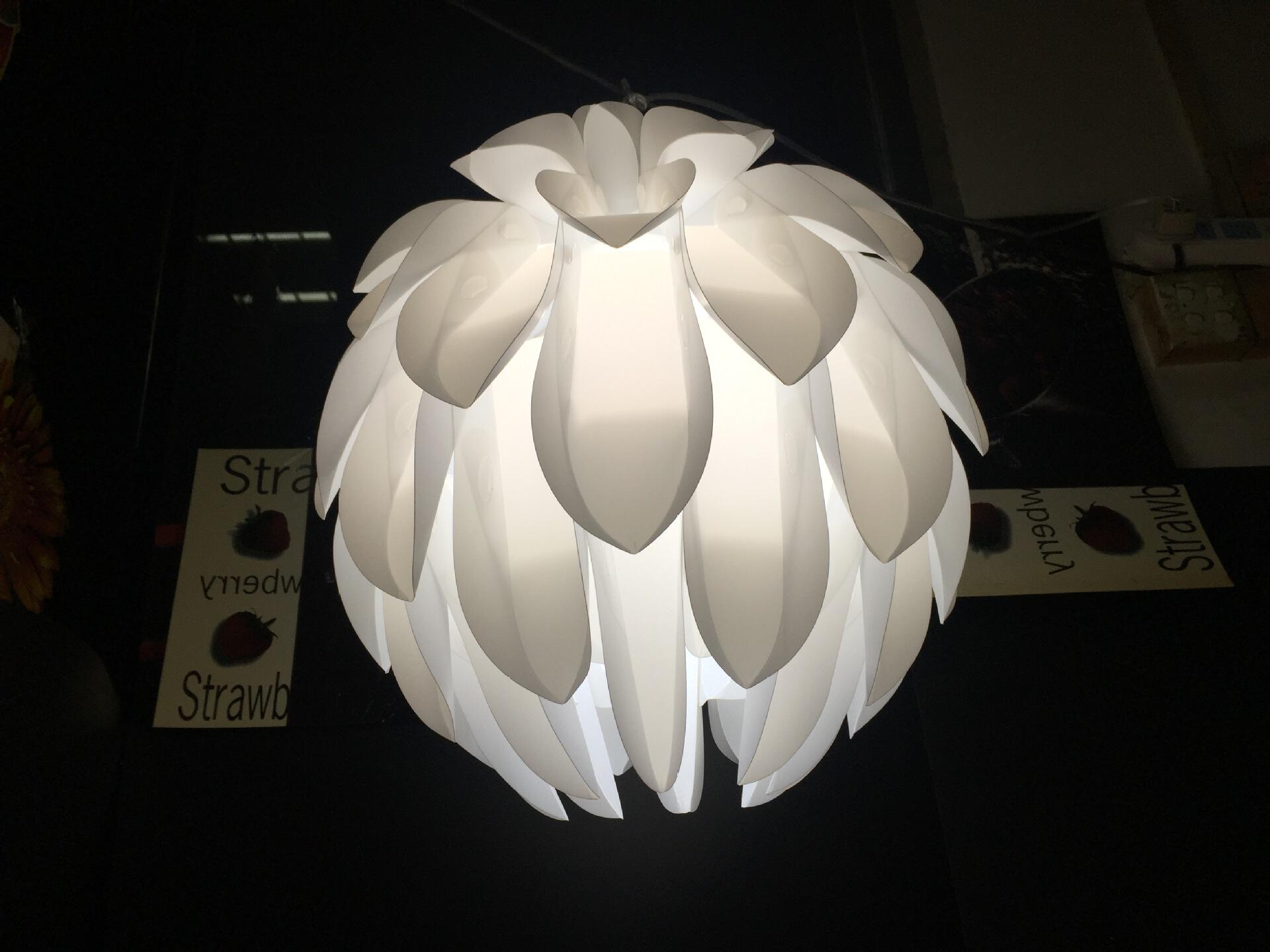 加工定制灯罩照明塑料灯罩热带水果吊灯罩生产厂家