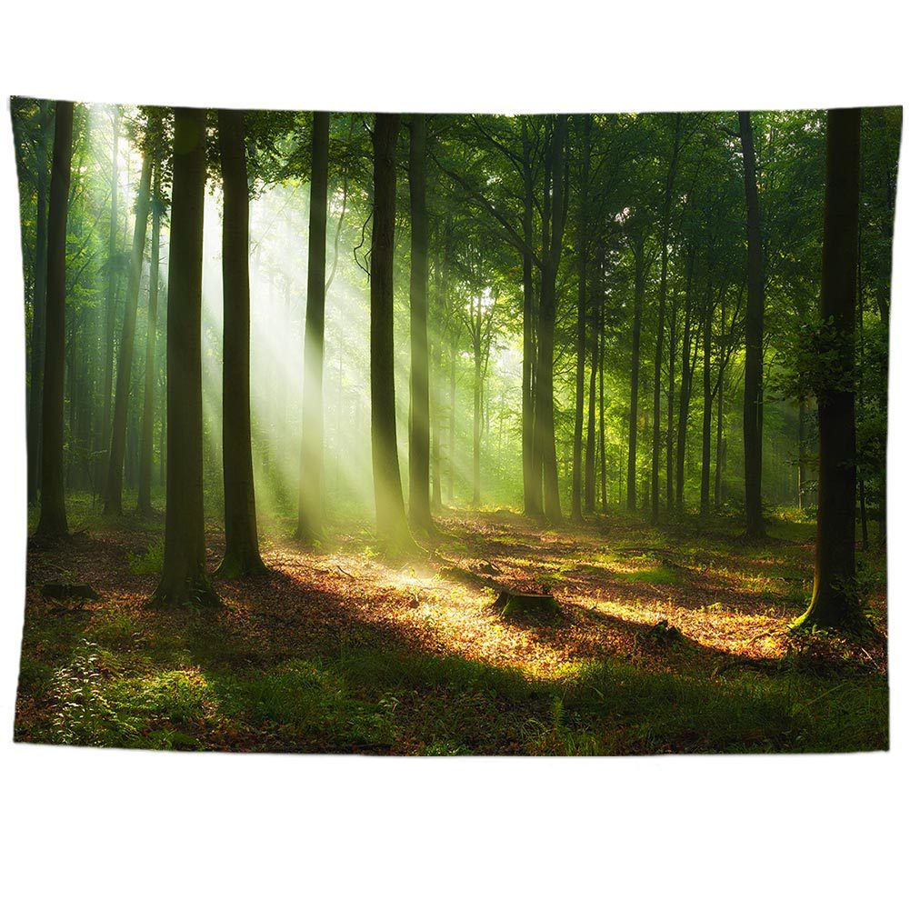 森林树木风景图案挂毯挂画 背景壁挂沙滩巾挂布