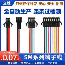 立胜线束SM端子线电子线红黑2P公母对插端子简灯电源锂电池连接线