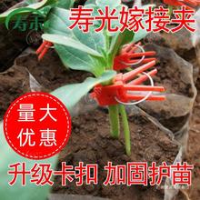 通用植物番茄蔬菜西瓜苗护苗工具夹小夹子黄瓜夹瓜苗嫁接塑料