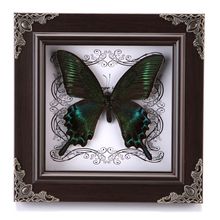 真蝴蝶标本立体相框摆件欧美风装饰品生日礼物收藏品科普蝴蝶墙
