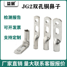 JG2-16-6镀锡双孔铜鼻子 管压铜鼻子 铜接线端子 华为/思科设备