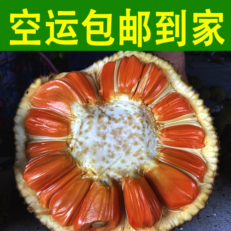 正宗印尼红红肉菠萝蜜红心新鲜应季水果山地老树果泰国菠萝蜜包邮