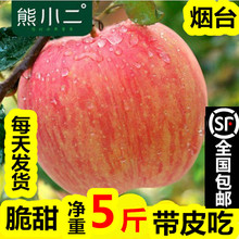 厂家批发烟台红富士苹果礼品盒奶油苹果10斤脆甜糖心苹果代发