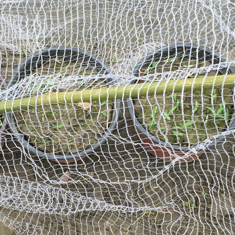 供跨境防鸟网驱鸟网果园网家禽养殖网家庭园艺透明白色樱桃果树网