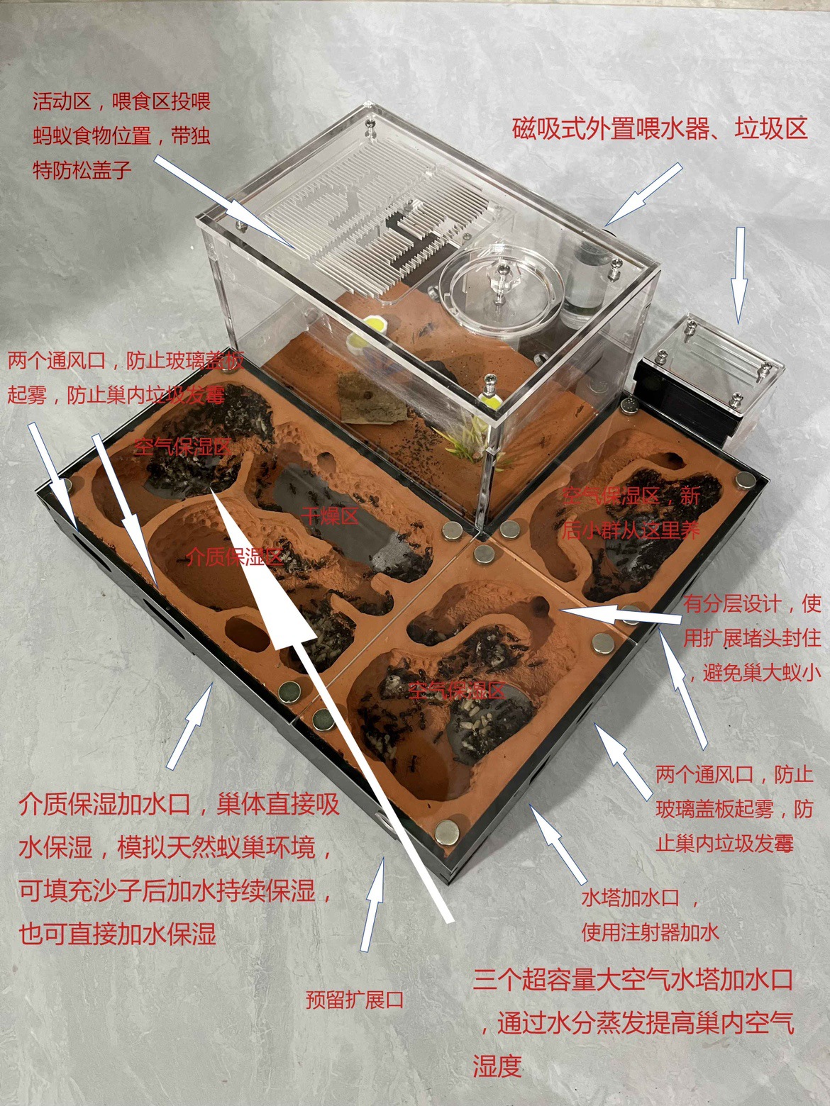 防蚁巢 蚂蚁城堡 宠物蚂蚁后繁殖工坊蚁巢学校科普-阿里巴巴