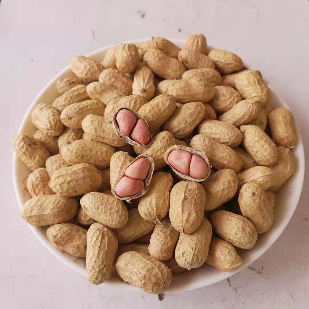 2020年新货500g新鲜带壳花生干生花生白沙花生农家自种晒干自产