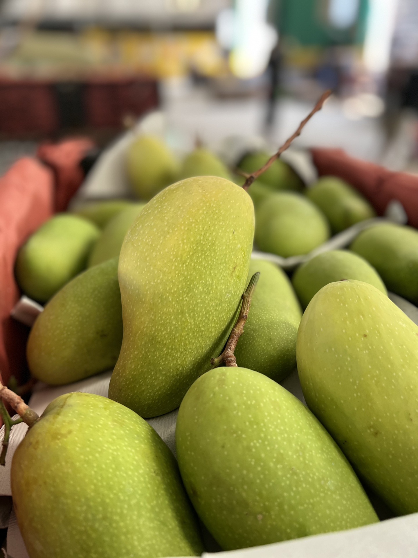 海南金煌芒芒果5斤10斤海南芒果一件代发