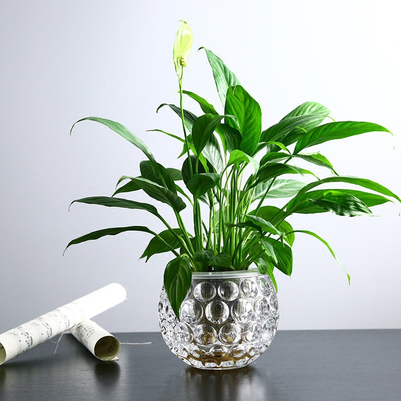 北欧ins金边玻璃花瓶 透明插花摆件轻奢花器简约摆件插花瓶批发-报价