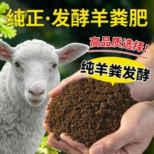 腐熟羊粪发酵有机肥料蔬菜专用家用养花通用底肥营养土农家肥鸡粪