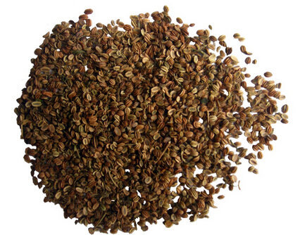 蛇床子提取物10:1fructus cnidii extract 蛇米籽蛇床子素1kg起售