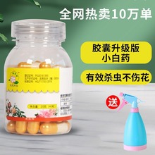 护花匠小白药噻虫嗪胶囊花卉月季蚜虫杀虫剂颗粒植物农药噻小黑飞