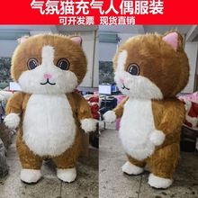 充气大熊猫人偶服装卡通行走猫咪老虎玩偶抖音衣服网红气氛猫服装
