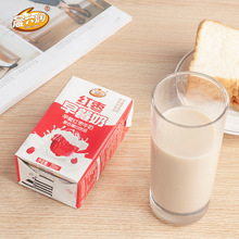 厂家批发红枣牛奶学生儿童早餐奶代餐250ML*24盒牛奶整箱一件代发