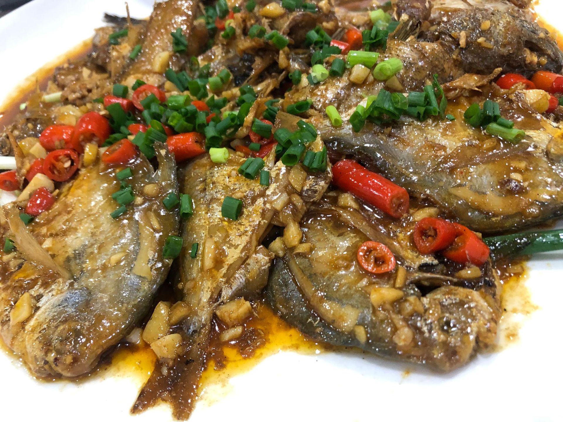 海杂鱼 深海杂鱼海鱼杂锦杂鱼拼盘750g/包冷冻海产品厂家直销批发