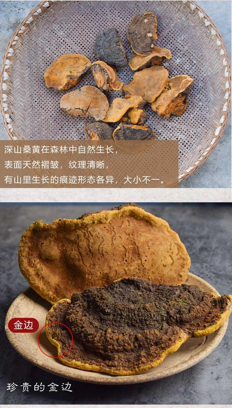 野生桑黄菌桑黄正品桑树桑黄 秦岭野生桑黄500新货非西藏暴马丁