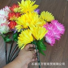 清明花水晶菊五头祭祀用品扫墓花思亲菊插花花篮花圈上坟拉花鲜花