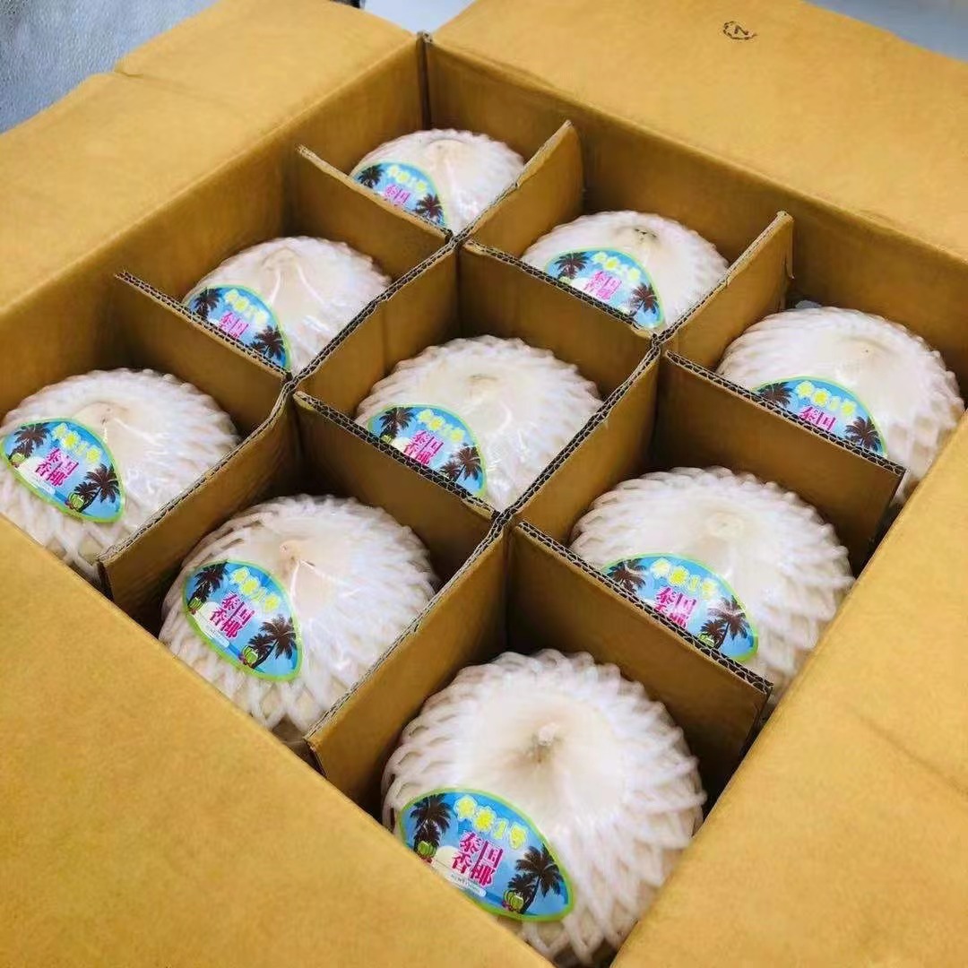 "华泰一号"泰国椰青椰子新鲜水果椰子蛋椰子鸡