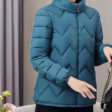 女装秋冬棉衣短款妈妈装轻薄棉服老年人大码外套黑色插袋紫色插袋