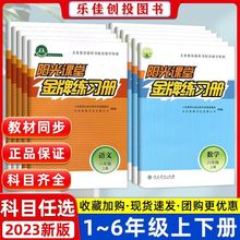 2023版阳光课堂练习册一二三四五六年级上下册语文数学人教版