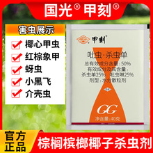 国光甲刻50%吡虫啉杀虫单棕榈树椰心叶甲红棕象甲蚧壳槟榔杀虫剂