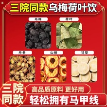 乌梅荷叶饮杭州第三医院同款乌梅丹参山楂甘草免煮便携养生茶茶包