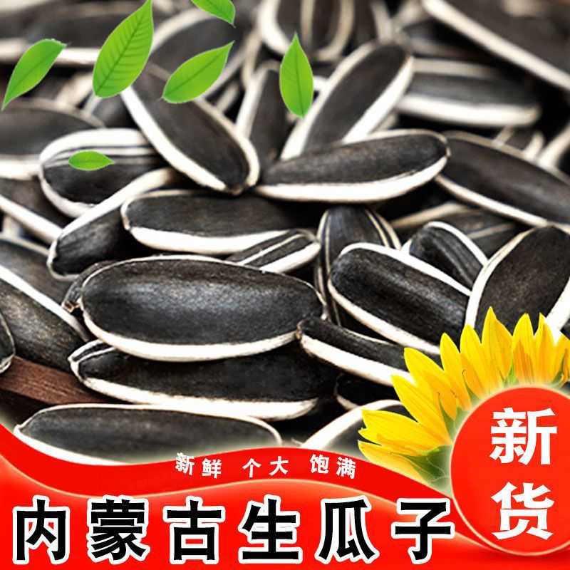 瓜子5斤装新货生9大颗粒原味生葵花籽内蒙古五原县特产一件批发