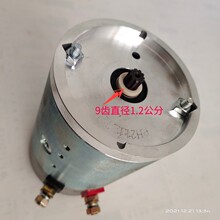 电动燃油摩托三轮车液压自卸动力单元电机12v48v60v72∨短效电机