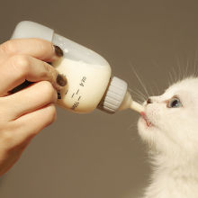 奶瓶宠物猫咪幼猫新生幼犬瓶小奶猫狗喂奶器喂食奶嘴用品厂家直销