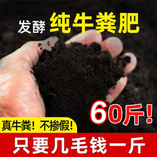 牛粪发酵有机肥种菜专用土60斤阳台养花绿植盆栽通用腐熟羊粪肥料