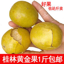 广西桂林脱水黄金罗汉果干果大果散装白肉泡水罗汉果茶小包装正品