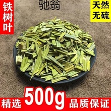 cAm中要材铁树叶250g500g1000g包邮铁树叶子可搭白花蛇舌草